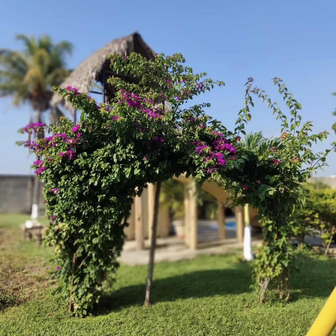 Estancia Villa Cariño